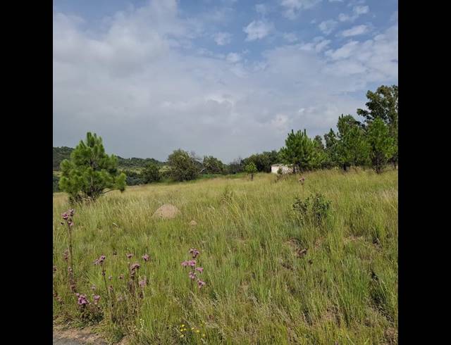 LAND FOR SALE IN RIETFONTEIN